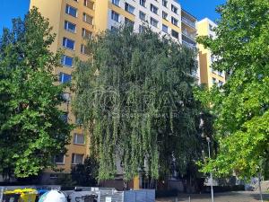 Prodej bytu 2+kk, Praha - Ruzyně, Ciolkovského, 42 m2