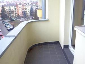 Pronájem bytu 1+1, Brno - Staré Brno, 49 m2