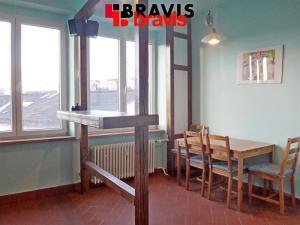 Pronájem bytu 1+1, Brno - Staré Brno, 49 m2