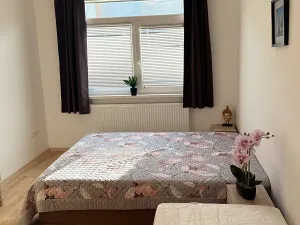 Pronájem bytu 1+kk, Plzeň, Nepomucká, 26 m2