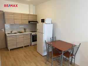 Pronájem bytu 1+kk, Plzeň, Nepomucká, 26 m2