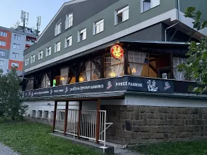 Pronájem bytu 1+kk, Plzeň, Nepomucká, 26 m2
