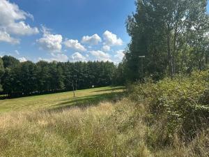 Prodej ubytování, Bílé Poličany, 1000 m2