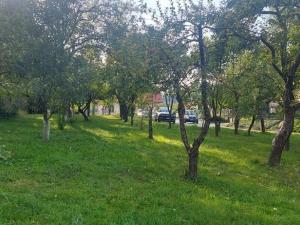 Prodej rodinného domu, Lešná - Jasenice, 95 m2