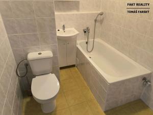 Pronájem bytu 1+kk, Děčín, Želenická, 25 m2