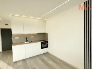 Pronájem bytu 1+kk, Chomutov, Havlíčkova, 21 m2