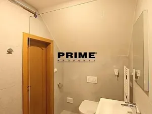Pronájem rodinného domu, Průhonice, Sadová, 300 m2