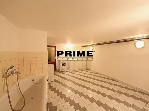 Pronájem rodinného domu, Průhonice, Sadová, 300 m2