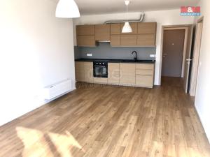 Pronájem bytu 2+kk, Brandýs nad Labem-Stará Boleslav - Brandýs nad Labem, Dřevčická, 58 m2