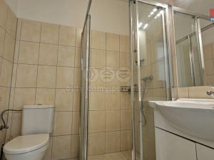 Pronájem bytu 1+kk, Plzeň - Východní Předměstí, Úslavská, 20 m2