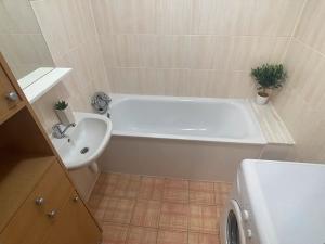 Pronájem bytu 3+1, Opava, Černá, 76 m2