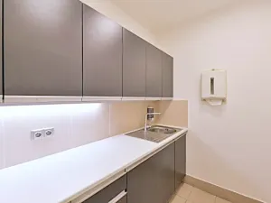 Pronájem kanceláře, Praha - Nové Město, Václavské náměstí, 195 m2