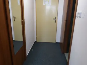 Pronájem bytu 1+kk, Brno, Heršpická, 23 m2