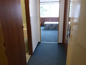 Pronájem bytu 1+kk, Brno, Heršpická, 23 m2