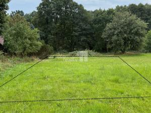 Prodej pozemku pro bydlení, Řečice - Bystrá, 11106 m2