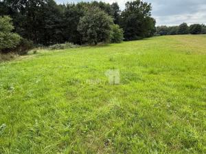 Prodej pozemku pro bydlení, Řečice - Bystrá, 11106 m2