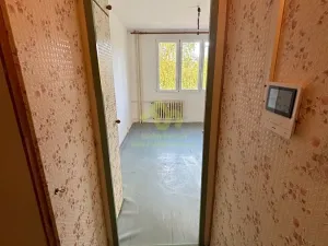 Prodej bytu 1+1, Plzeň, Karla Steinera, 35 m2