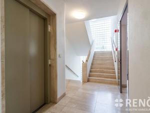 Pronájem bytu 1+kk, Brno, Bohuslava Martinů, 46 m2