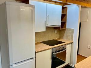 Pronájem bytu 1+kk, Trutnov, Horská, 33 m2