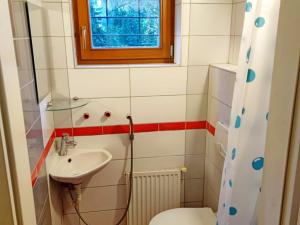 Pronájem bytu 1+kk, Brno, Jugoslávská, 15 m2