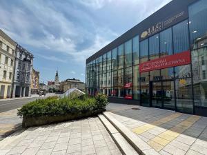 Pronájem ordinace, Opava, náměstí Republiky, 17 m2