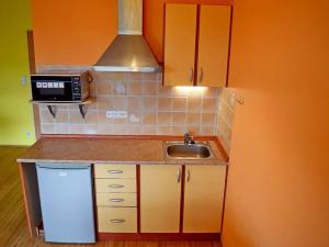 Pronájem bytu 1+kk, Praha - Vysočany, Poděbradská, 50 m2