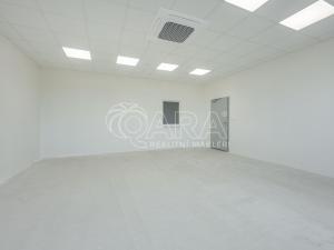 Pronájem skladu, Divišov, 2398 m2