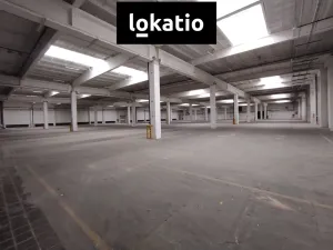 Pronájem skladu, Nučice, 7324 m2