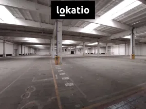 Pronájem skladu, Nučice, 7324 m2