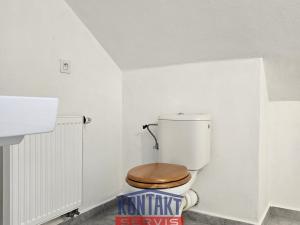 Pronájem rodinného domu, Dubné - Křenovice, 61 m2