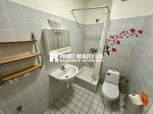 Pronájem bytu 1+kk, Beroun, Palouček, 30 m2