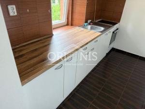 Pronájem bytu 1+1, Verneřice - Loučky, 29 m2