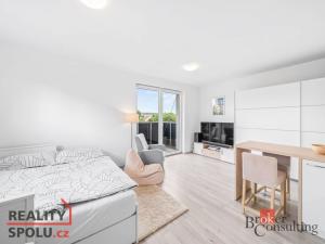Prodej bytu 1+kk, Heřmanova Huť - Vlkýš, U Pondu, 35 m2