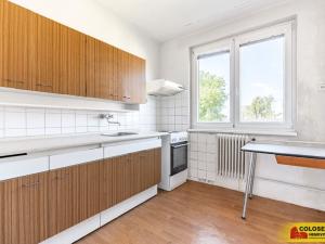 Prodej rodinného domu, Starý Petřín, 130 m2
