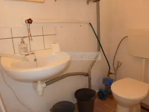 Prodej chaty, Plzeň - Litice, Srpnová, 54 m2