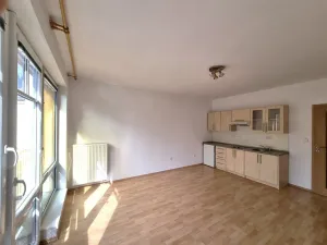 Pronájem bytu 1+kk, České Budějovice - České Budějovice 6, Rudolfovská tř., 28 m2