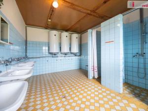 Prodej ubytování, Nalžovské Hory - Miřenice, 500 m2