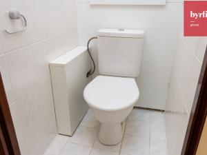 Prodej bytu 1+1, Vítkov, Wolkerova, 40 m2