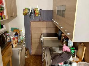 Prodej bytu 2+kk, Krupka, Dlouhá, 39 m2