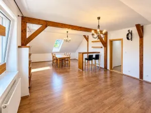 Prodej rodinného domu, Dubné - Třebín, 260 m2