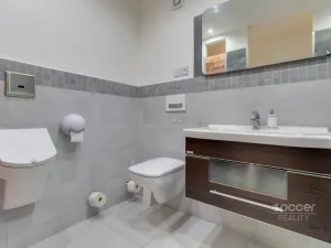 Pronájem bytu 2+kk, Vojkovice, 84 m2