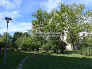 Prodej bytu 2+1, Plzeň - Doubravka, Železničářská, 70 m2