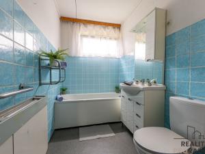 Prodej obchodního prostoru, Praha, Vačkářova, 216 m2