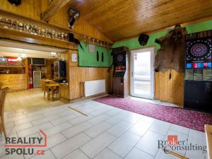 Prodej ubytování, Třebenice, Zimmerova, 332 m2