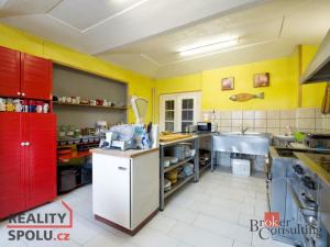 Prodej ubytování, Třebenice, Zimmerova, 332 m2