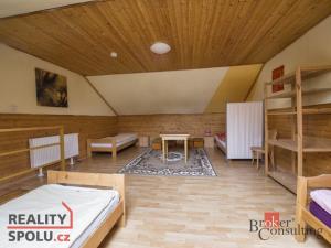 Prodej ubytování, Třebenice, Zimmerova, 332 m2