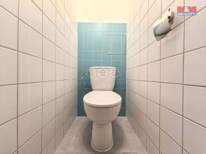 Pronájem bytu 3+1, Brandýs nad Orlicí, Žerotínova, 70 m2