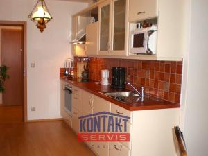 Pronájem bytu 1+kk, Železná Ruda, Belvederská, 50 m2