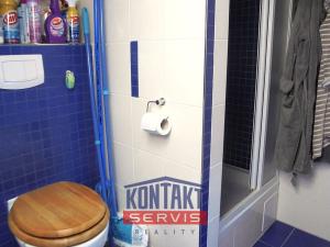 Pronájem bytu 1+kk, Železná Ruda, Belvederská, 50 m2