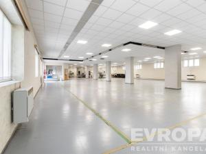 Pronájem skladu, Havlíčkův Brod, okres havlíčkův brod, 8000 m2